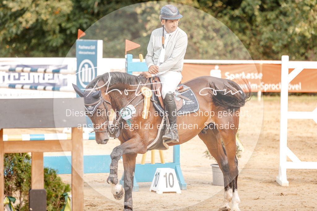 3I6A5357 | Stimmungsvolle Portraits und Reitsportfotografie im Ruhrgebiet und im Münsterland.

Pferdefotografie, Hundefotografie, Tierfotografie, Reportagen, Portraits von Tier und Mensch, Turnierfotografie in Bochum, Recklinghausen, Marl, Haltern am See, Dülmen.. - Realisiert mit Pictrs.com