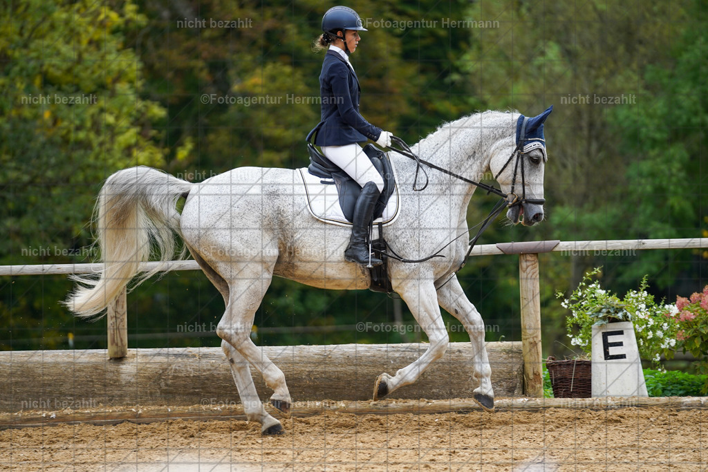 20221008-FAH01436 | Diessen am Ammersee, 2022, Dressur- und Springturnier, Reitsportbilder, Turnierfotografen Bayern, Pferdefotografen, Fotoagentur Herrmann, Turnierbilder