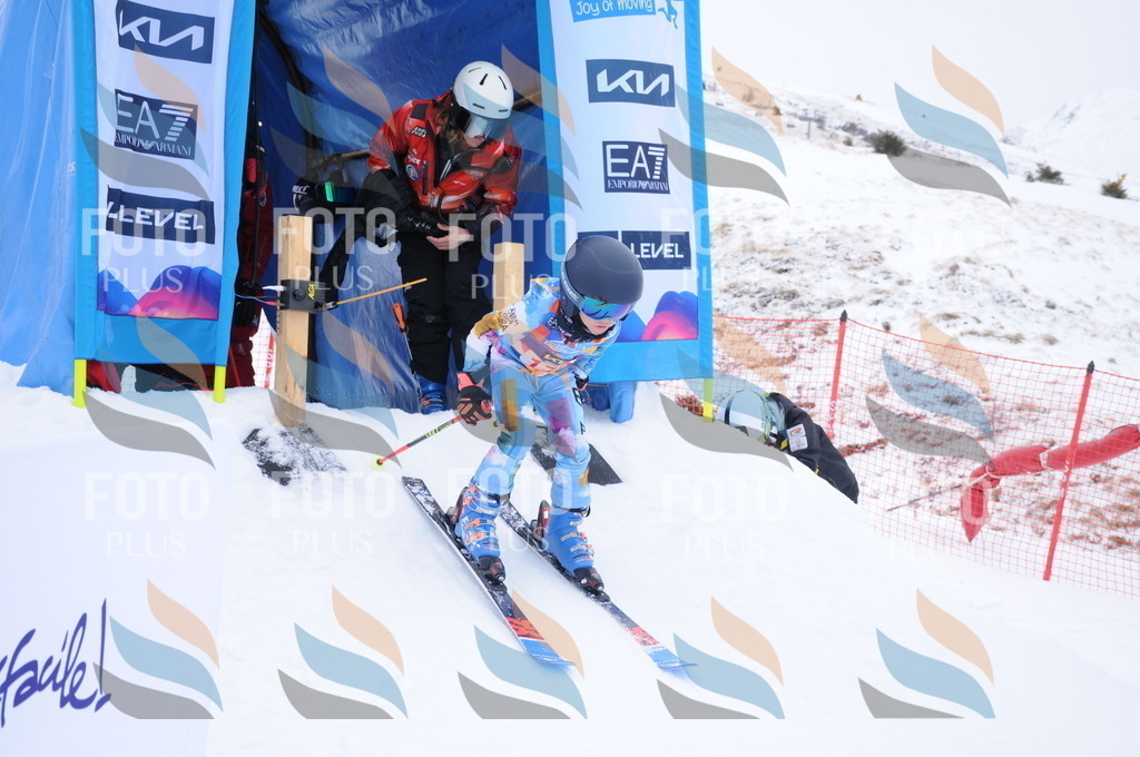 DSC_8950 | holidayphoto