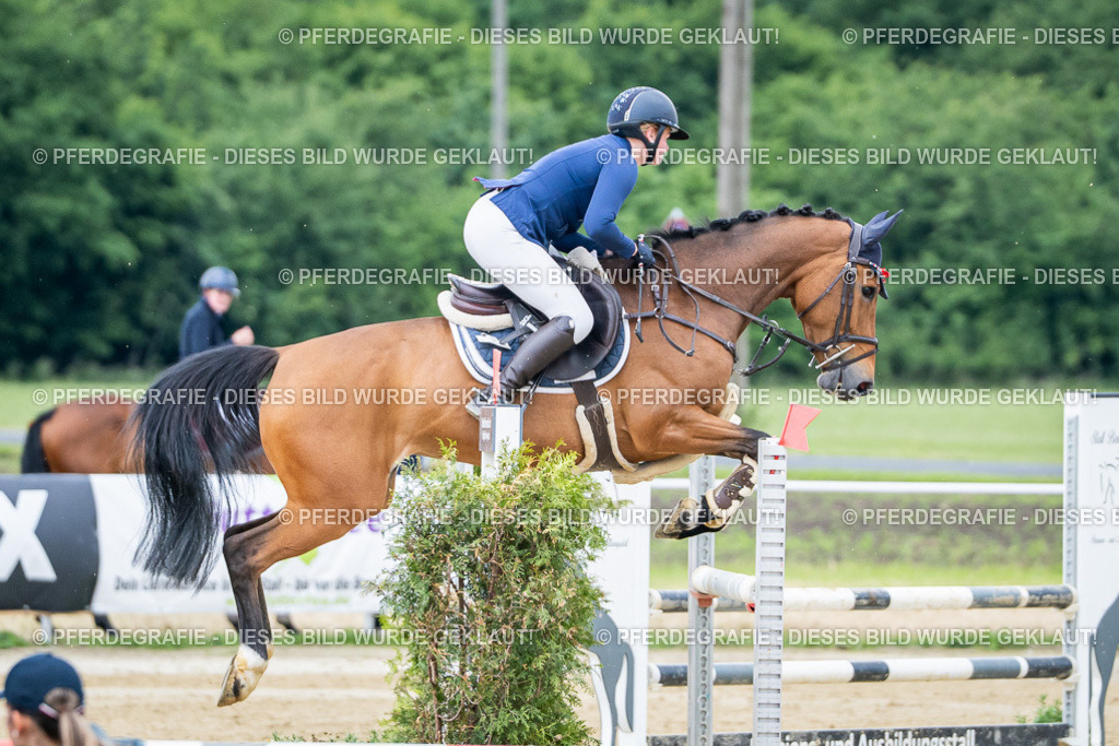 DSC04167 | Pferdegrafie