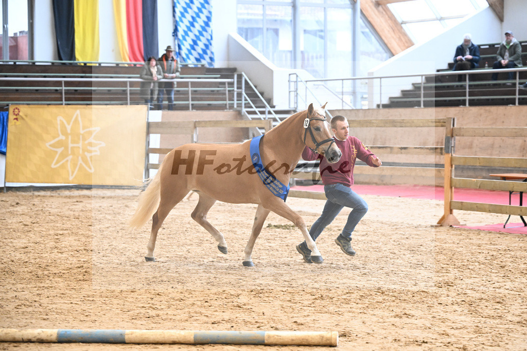 Bl. Band Kat-Nr. 12 Baghira v. Schampus_Czernoch_48251619 | hf-fotografie - Realisiert mit Pictrs.com