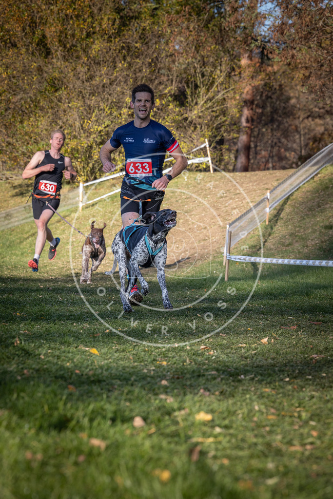 CaniXpix_0L8A8885 | Hundefotografie, Tierfotograf, Pfotenfotografie, Fotoshooting Hund, Hunde Portrait, Hundesport, Hundeportraits, Heideshooting, Hunde, Sportfotograf, Hundefotograf, Turnierhundsport, THS,  - Realisiert mit Pictrs.com