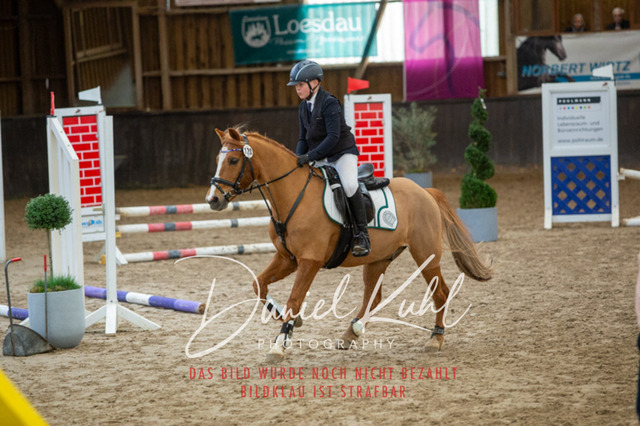 IMG_1845 | Turniersportfotografie; Pferdefotografie; Dressurfotografie