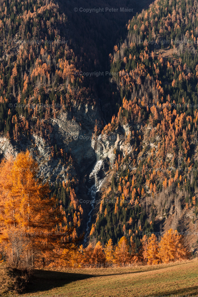 Jungfernsprung_Herbst_24-35 | piet_flosse
