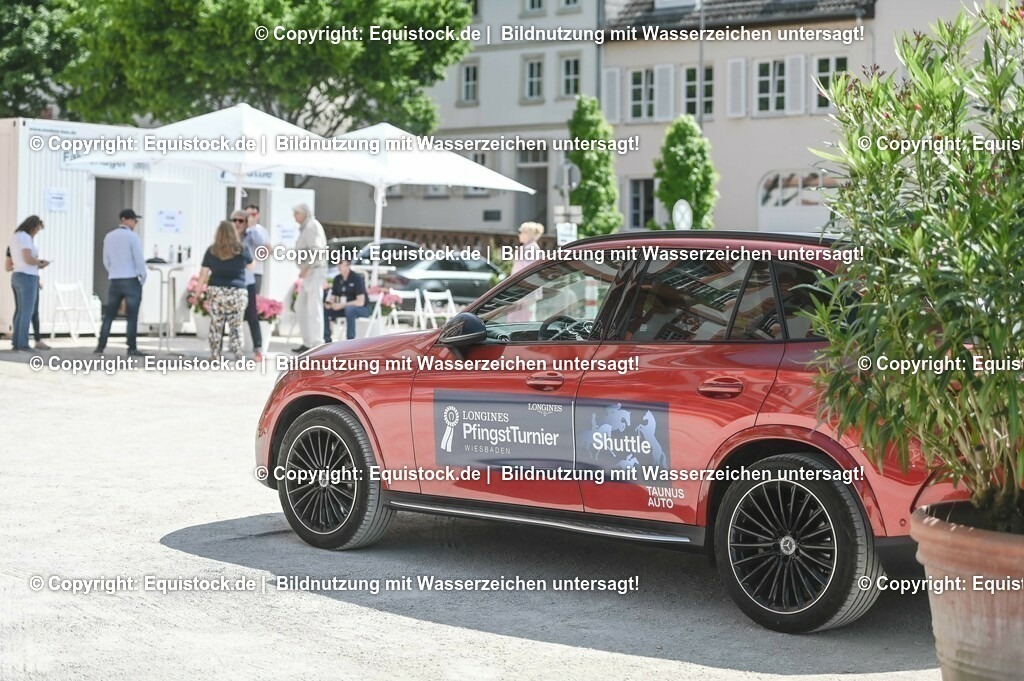 D78_2885 | equistock