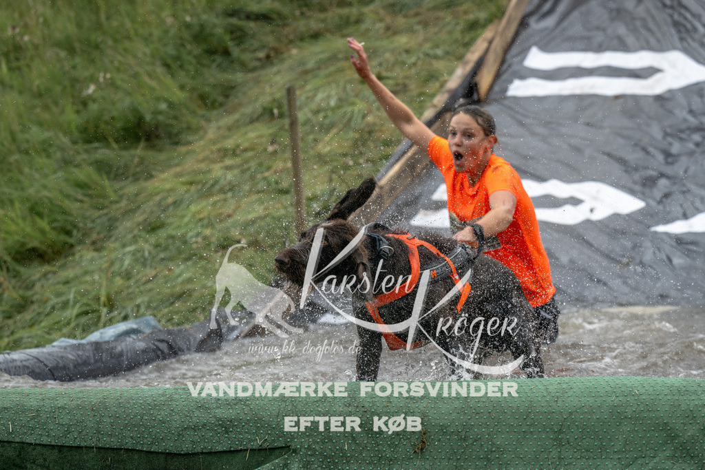 1222_ZZ94748 | kk-dogfotos