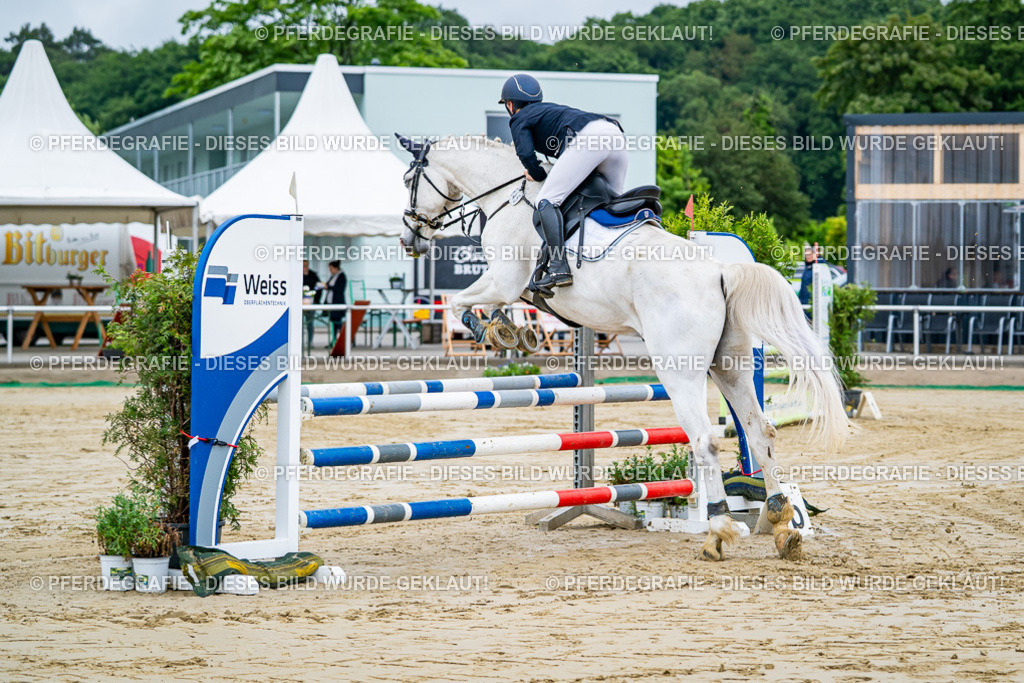 DSC01849 | Pferdegrafie