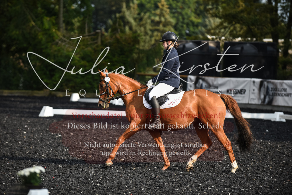 DSC_3434 | Pferde- und Turnierfotografie in Westsachsen. Pferdeportraits, Auftragszeichnungen und intuitive Kunst.