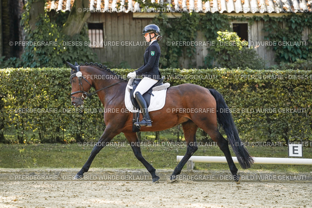 DSC07207 | Pferdegrafie