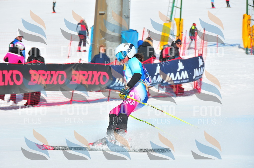 DSC_4437 | holidayphoto