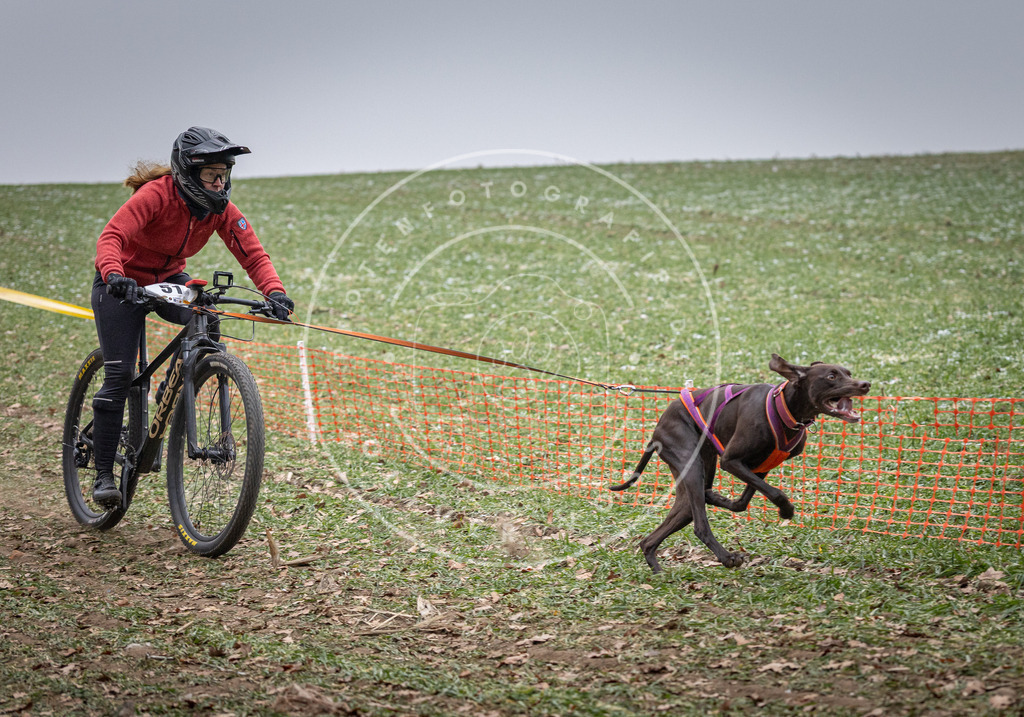 Pfotenfotografie_DV3A1101 | Hundefotografie, Tierfotograf, Pfotenfotografie, Fotoshooting Hund, Hunde Portrait, Hundesport, Hundeportraits, Heideshooting, Hunde, Sportfotograf, Hundefotograf, Turnierhundsport, THS,  - Realisiert mit Pictrs.com