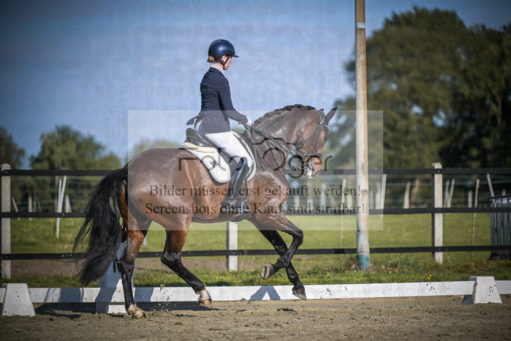 DOS_B822 | Entdecke hochwertige Reitturnierfotos von Foto Oger. Professionell, emotional und authentisch – jetzt Lieblingsmomente im Shop bestellen.Deutschlandweite Turnierfotografie. - Realisiert mit Pictrs.com