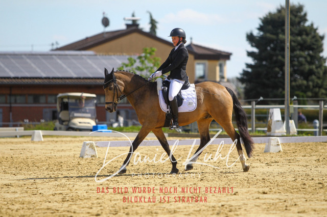 DKP43194 | Turniersportfotografie; Pferdefotografie; Dressurfotografie