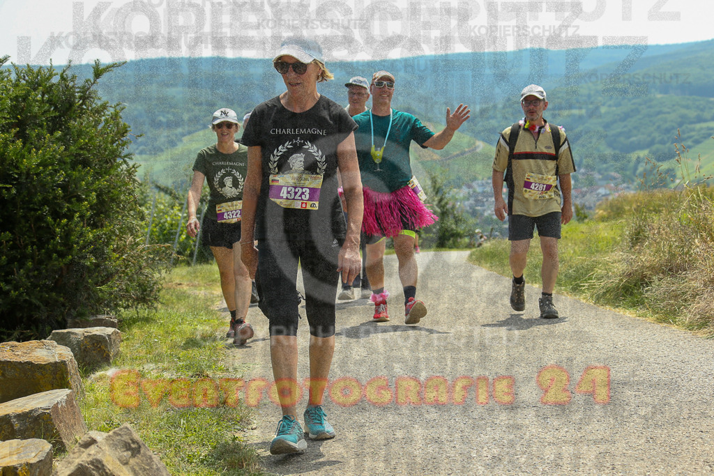 250614_1327_EX1_8890 | Sportfotografie im Rhein-Sieg Kreis, Köln, Bonn, NRW, Rheinland Pfalz, Hessen, etc. Unser Tätigkeitsfeld umfasst den Laufsport vom Volkslauf über den Marathon, Duathlon, Triathon bis zum Ultralauf wie Kölnpfad Ultra oder Schindertrail.