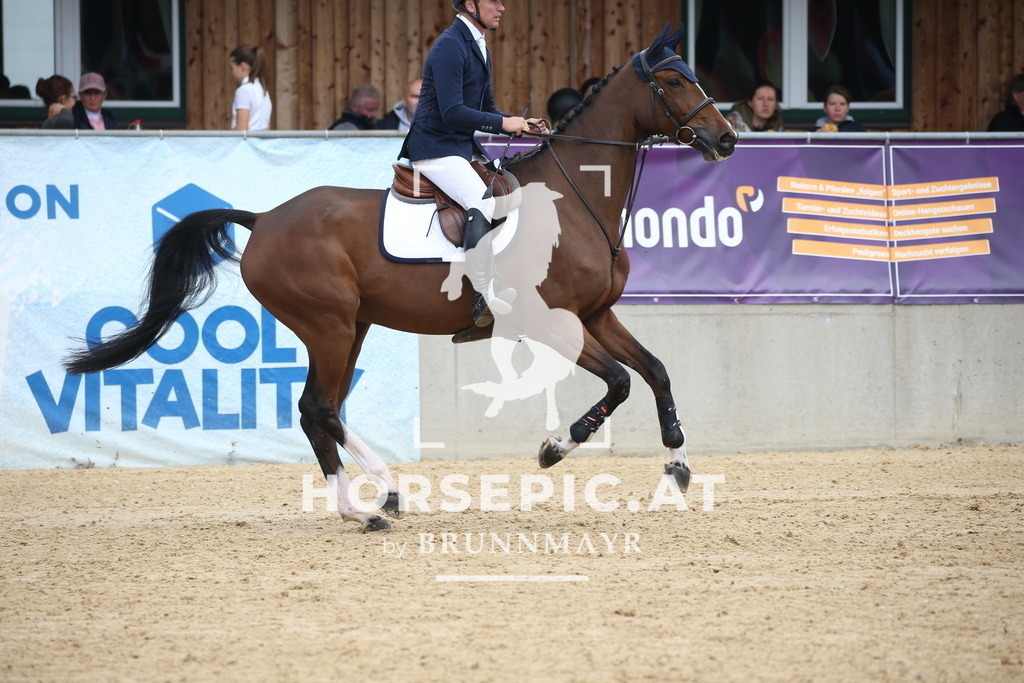 DL2Q4579 | Willkommen bei Brunnmayr - Design & Fotografie – Ihrem Spezialisten für Reitturniere und Pferdeveranstaltungen in Oberösterreich, Salzburg und Bayern! Seit über 17 Jahren sind wir leidenschaftlich dabei.