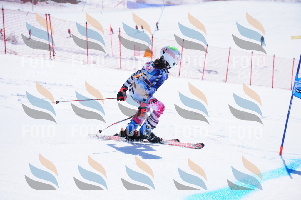 DSC_4117 | holidayphoto