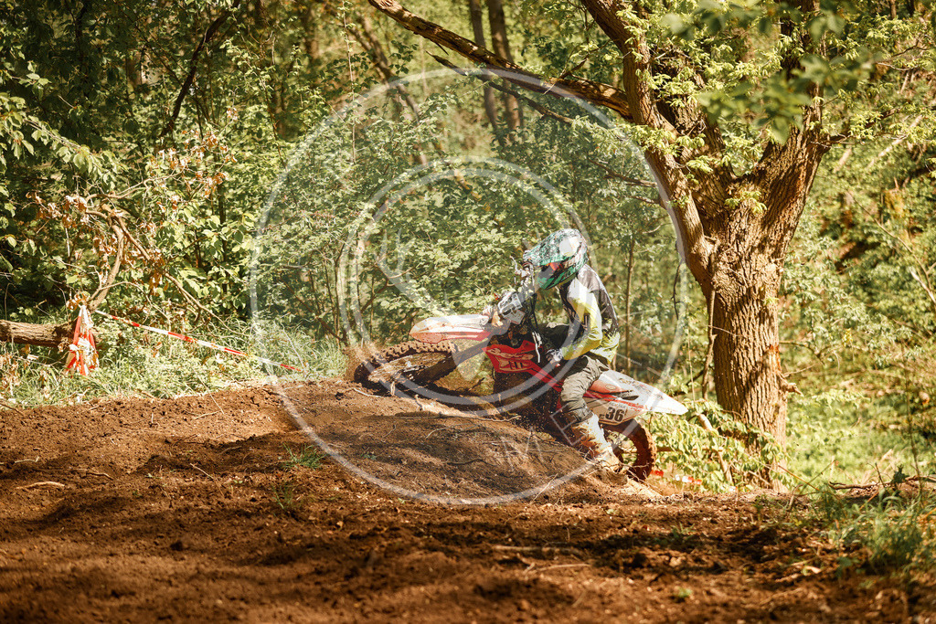 RottlebenIGE25_Lauf2-211 | koppe-media