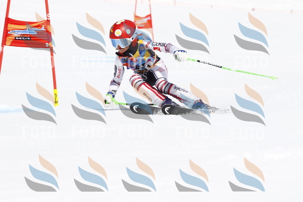 _U3G5231 | holidayphoto