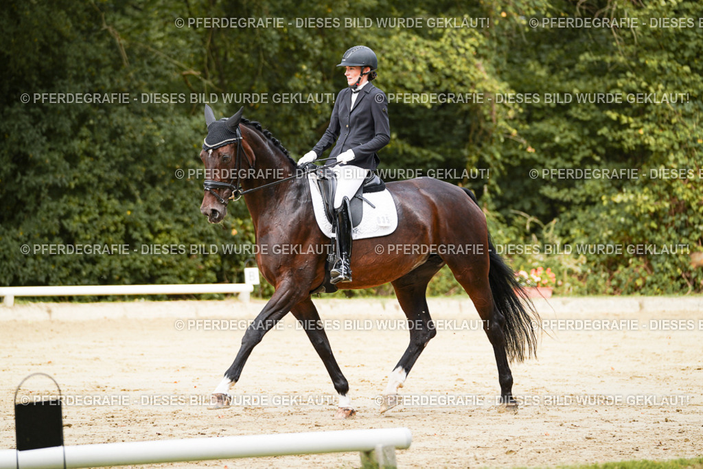 DSC01871 | Pferdegrafie