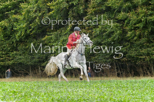 Jagd Perdoel_MarinaHewigMCH04000 | Fotografie, FotoArt, PferdesportArt, Pferdesportfotografie, Landschaftsfotografie, Reisefotografie, Reise, Pferde - Realisiert mit Pictrs.com