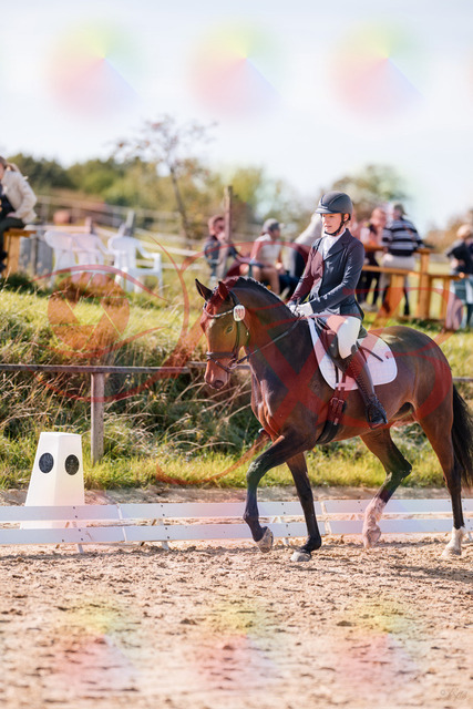 2026_10_03_Siefer-Hof_125447_Z81_42756416 | Professionelle Reitsport-, Turnier- und Eventfotografie von Robert Broda. Galerien mit ausgewählten und bearbeiteten Bildern direkt online ansehen und bestellen.