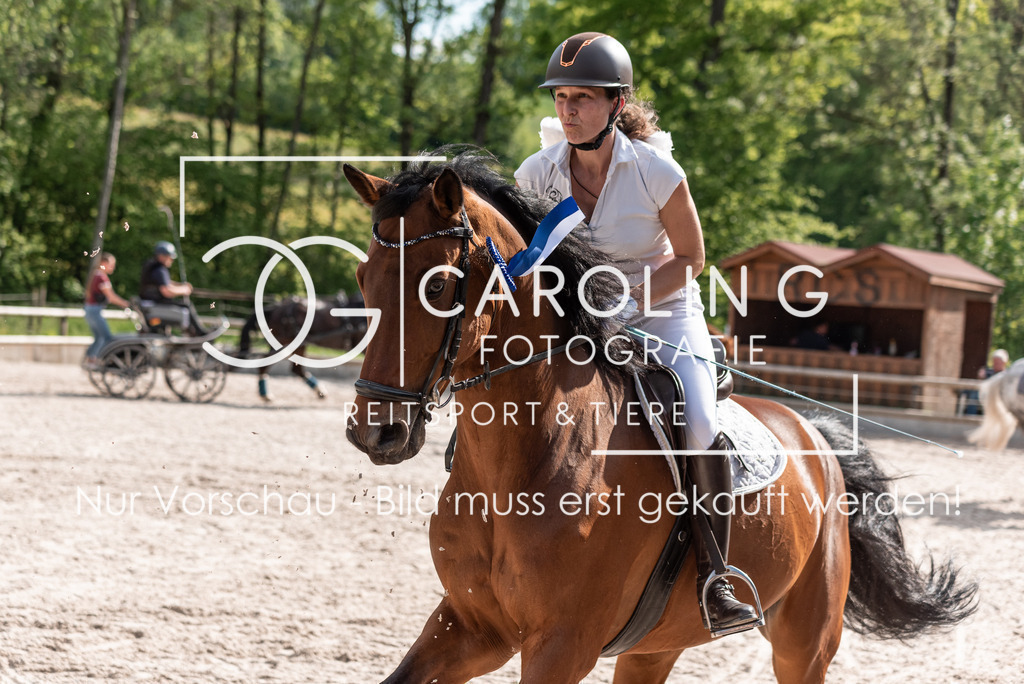 DSC_2534 | Turnierfotografin Carolin Gieschke, Turnierfotografie Carolin G Fotografie, Turnierfotos Kirchheim/Teck, Esslingen, Stuttgart, Bodenseekreis