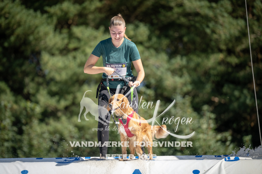 1158_ZZ94661 | kk-dogfotos