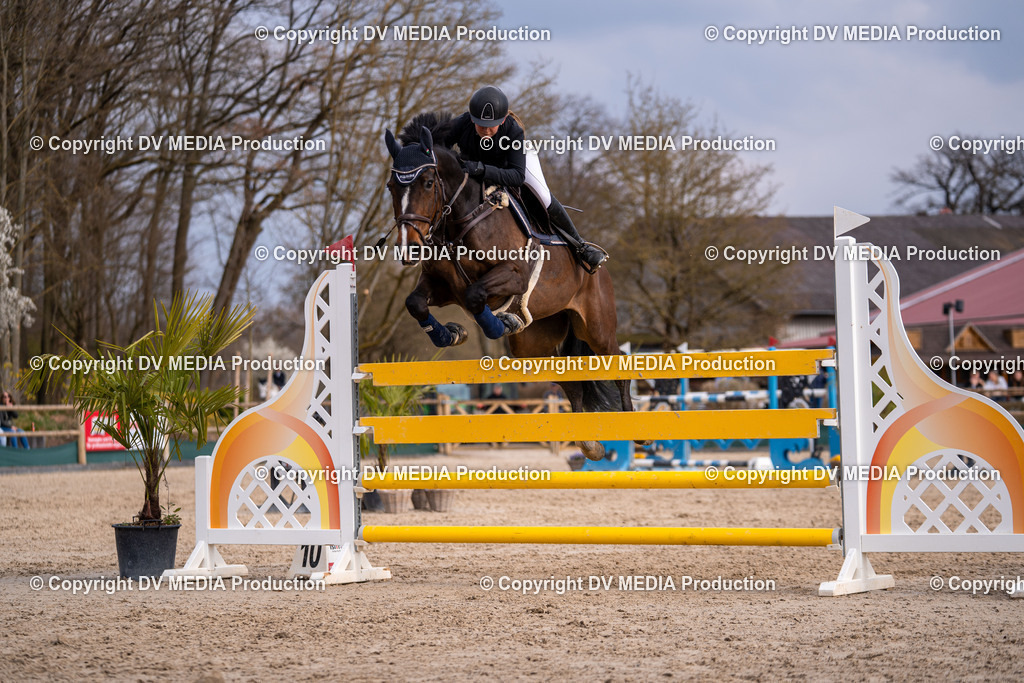 Kranichstein Tag 2-2117 | dv-media-shop - Realisiert mit Pictrs.com