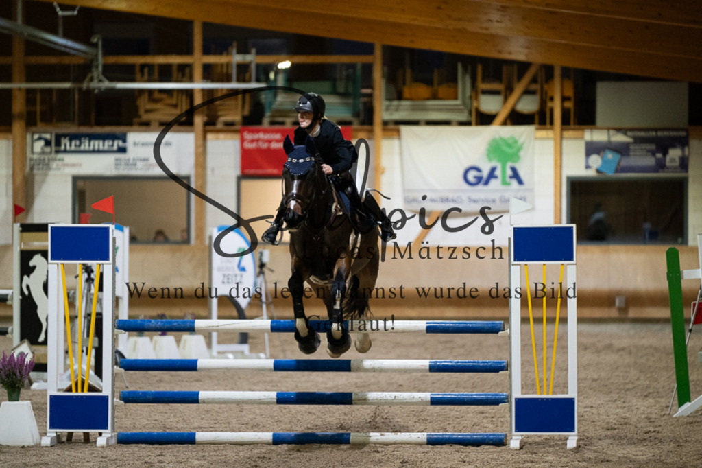 A7V03302 | Pferdefotograf