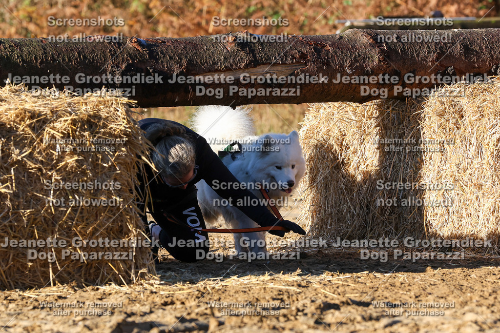 Dog Paparazzi - Strongdog 10-25-1207 | Dog Paparazzi Jeanette Grottendiek Fotografie & Videografie - Realisiert mit Pictrs.com