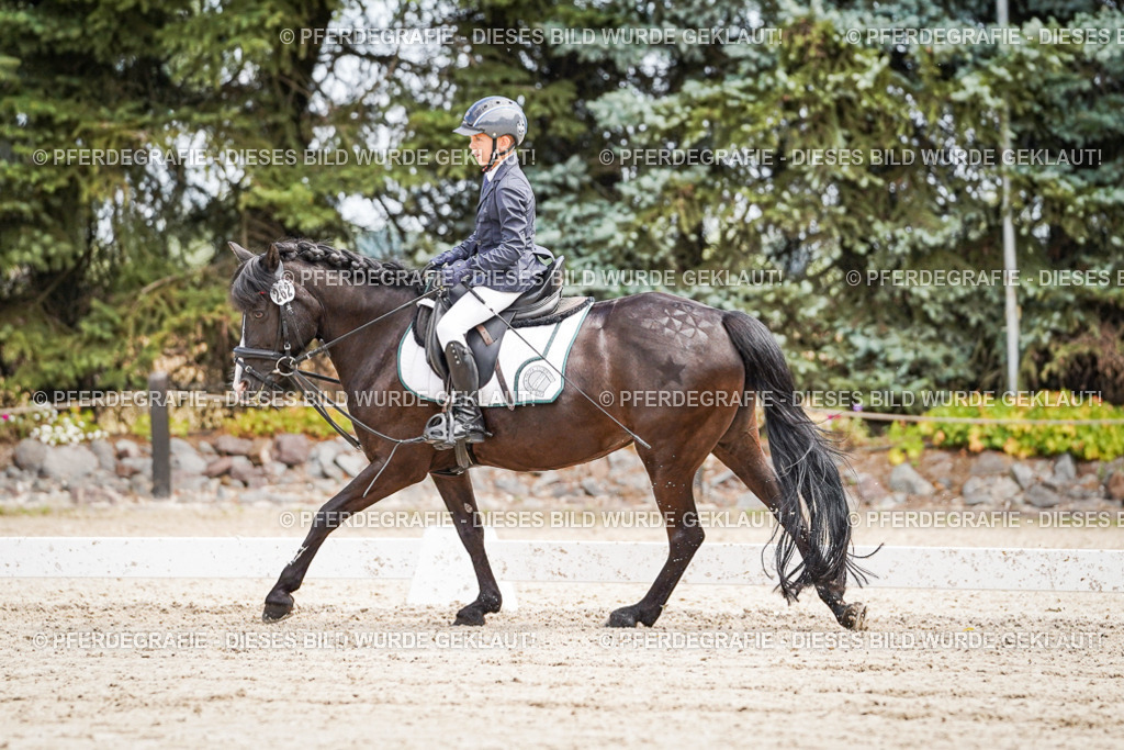 DSC02779 | Pferdegrafie