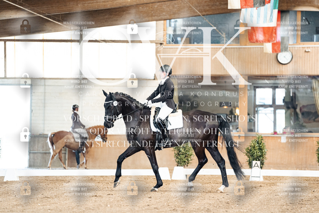 CK900673 | Turnierfotografie Pferdefotografie Trier Rheinland-Pfalz Pferdesport Reitsport Tierfotografie Sportfotografie Pferdevideo Pferdevideografie Equestrianvideography equestrianphotography  - Realisiert mit Pictrs.com