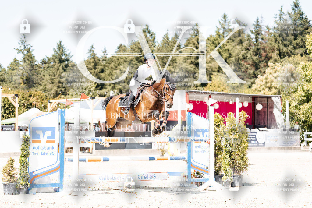 CK901009 | Turnierfotografie Pferdefotografie Trier Rheinland-Pfalz Pferdesport Reitsport Tierfotografie Sportfotografie Pferdevideo Pferdevideografie Equestrianvideography equestrianphotography  - Realisiert mit Pictrs.com