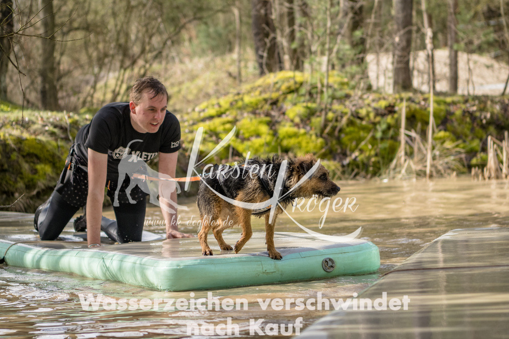 1003_ZZ92321 | kk-dogfotos