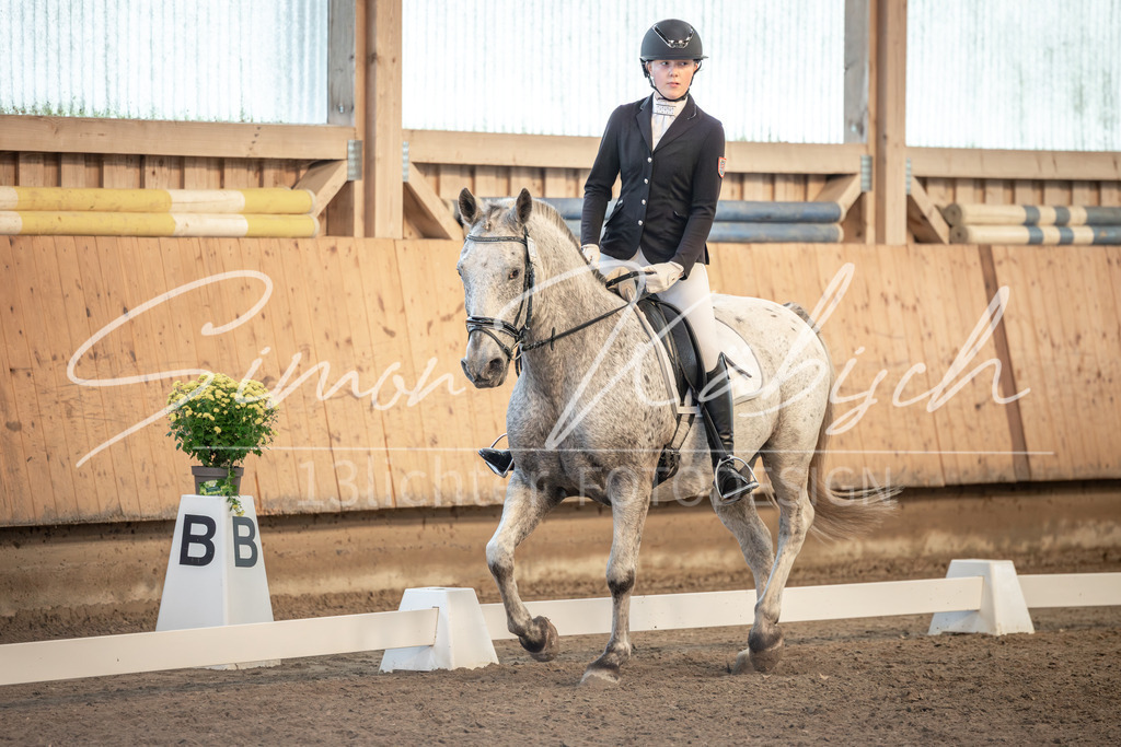 20251011-_3LI6859 | Tierfotografie Pferde, Hunde, Katzen, Haustiere.
Turnierfotografie Reitturniere, Reiten, Springreiten, Dressur in Hanau, dem Main-Kinzig-Kreis und dem Rhein-Main- Gebiet um Frankfurt