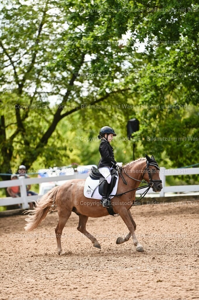20230716_10-3_Reiter-WB Schritt - Trab - Galopp_0170 | equistock