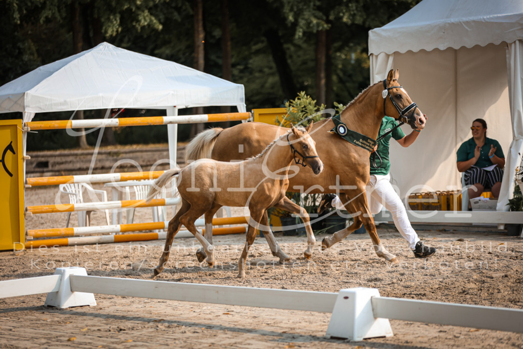 11.DoRP00202 | Leoni Ertmer Photography - Realisiert mit Pictrs.com