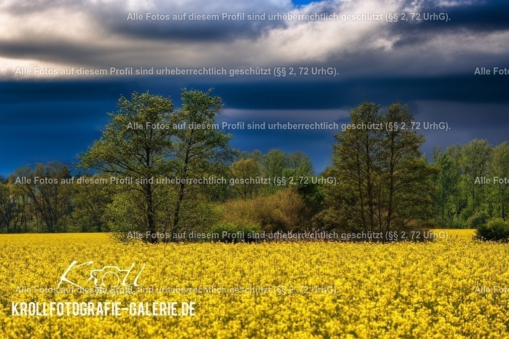 Photo_1713485891210 | krollfotografie - Realisiert mit Pictrs.com
