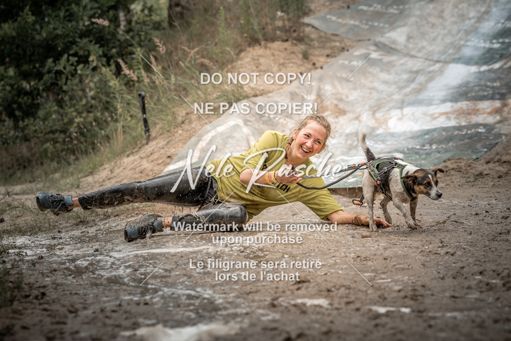 nelerasche_sa1500-1530_10 | nelerasche