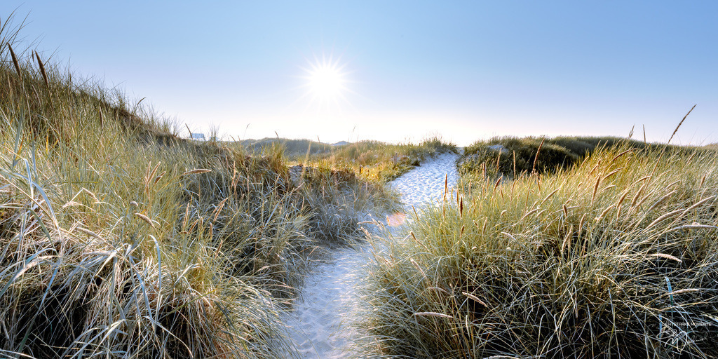 20200922 NORDSEE - SPO_Ording-Hungerhamm 036-1 | Herzlich willkommen auf meiner Seite! Ich bin Elke Wallnisch, Deine Fotografin für lichtstarke Momente. Der Name steht für alles, was mich mit der Fotografie verbindet: Das Licht und seine machtvolle Wirkung auf eine Situation oder unsere Stimmung - Realisiert mit Pictrs.com