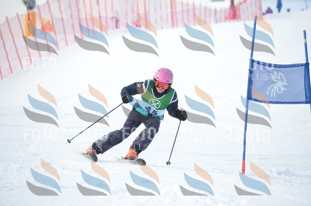 D8798 | holidayphoto