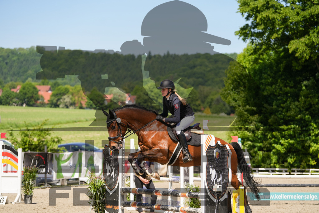 DSC02310 | Julian Held Fotografie - Realisiert mit Pictrs.com