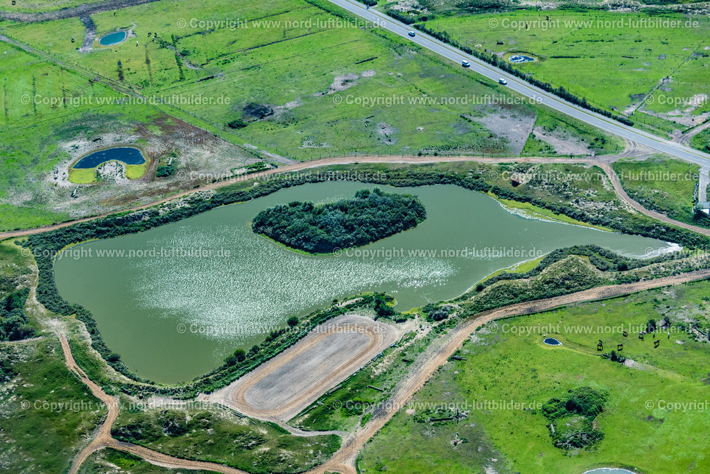 Norderney_See_am_Karl_Rieger_Weg_ELS_6693050923 | NORDERNEY 05.09.2023 Teich " Am Karl Krieger Weg " auf der Insel Norderney im Bundesland Niedersachsen, Deutschland. // Pond "Am Karl Krieger Weg" on the island of Norderney in the state of Lower Saxony, Germanyny. Foto: Martin Elsen