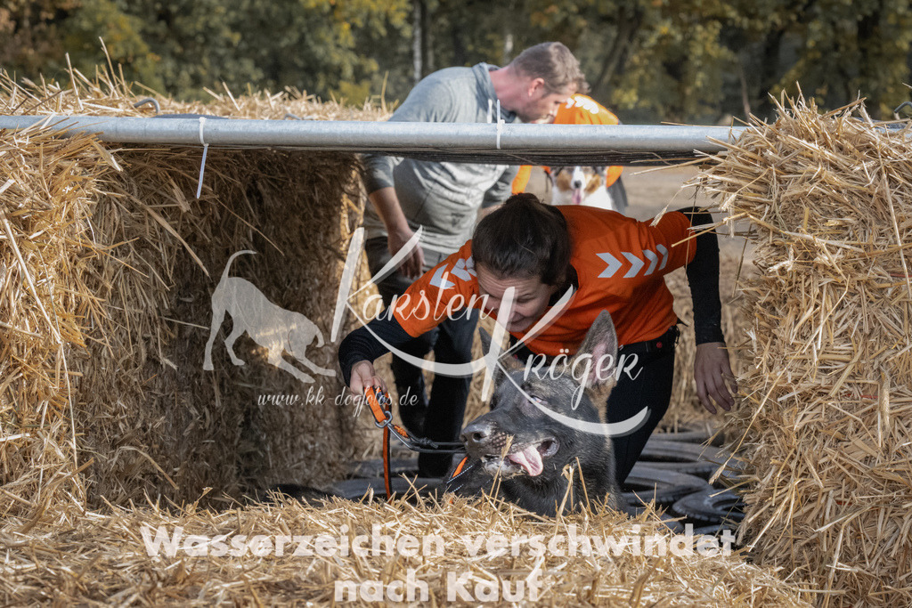 1031_ZZ98515 | kk-dogfotos