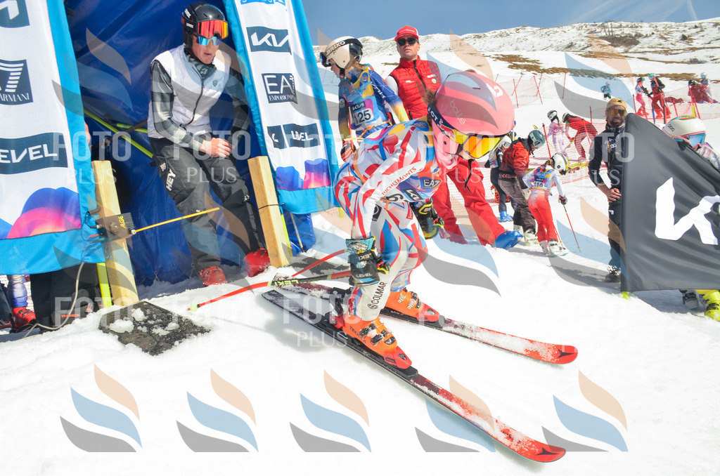 _ELE5401 | holidayphoto