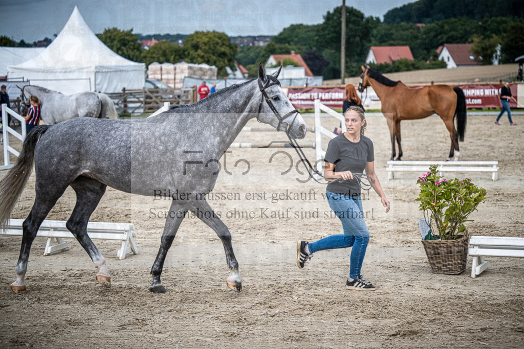 DOS_0246 | Entdecke hochwertige Reitturnierfotos von Foto Oger. Professionell, emotional und authentisch – jetzt Lieblingsmomente im Shop bestellen.Deutschlandweite Turnierfotografie. - Realisiert mit Pictrs.com