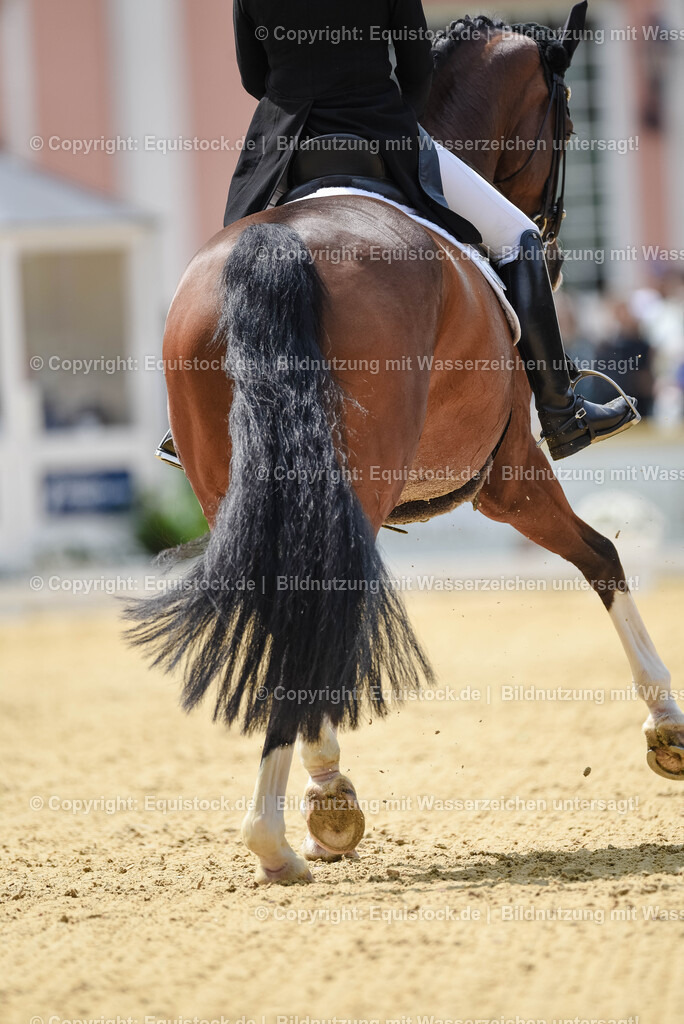 20250607_1_GP-Tour_Dressage_0166 | Foto: Thomas Hartig