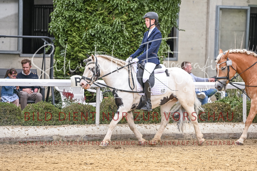 Schugtsche-Aluta25-47.ReiterWB_ST-25 | Schugtsche Fotografie - Realisiert mit Pictrs.com