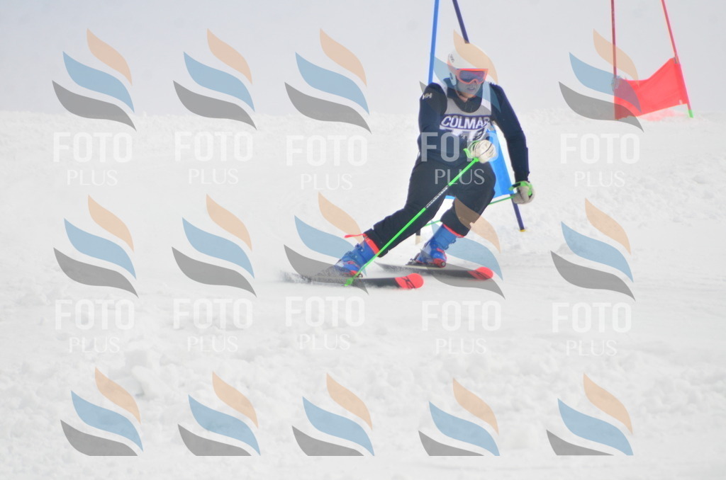 A6230 | holidayphoto