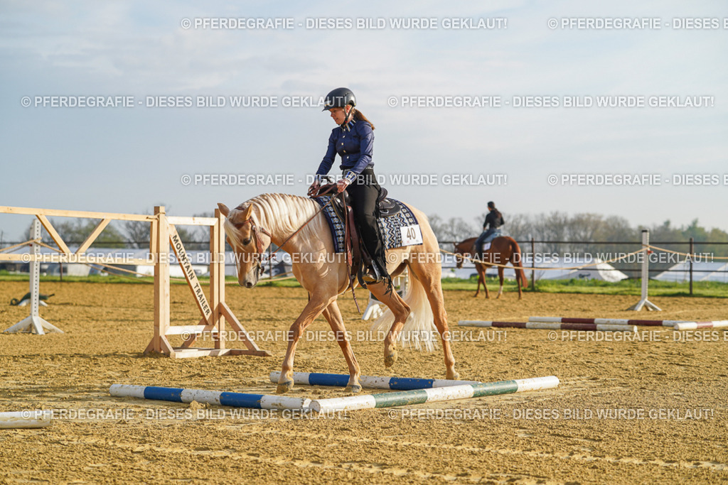 DSC00008 | Pferdegrafie